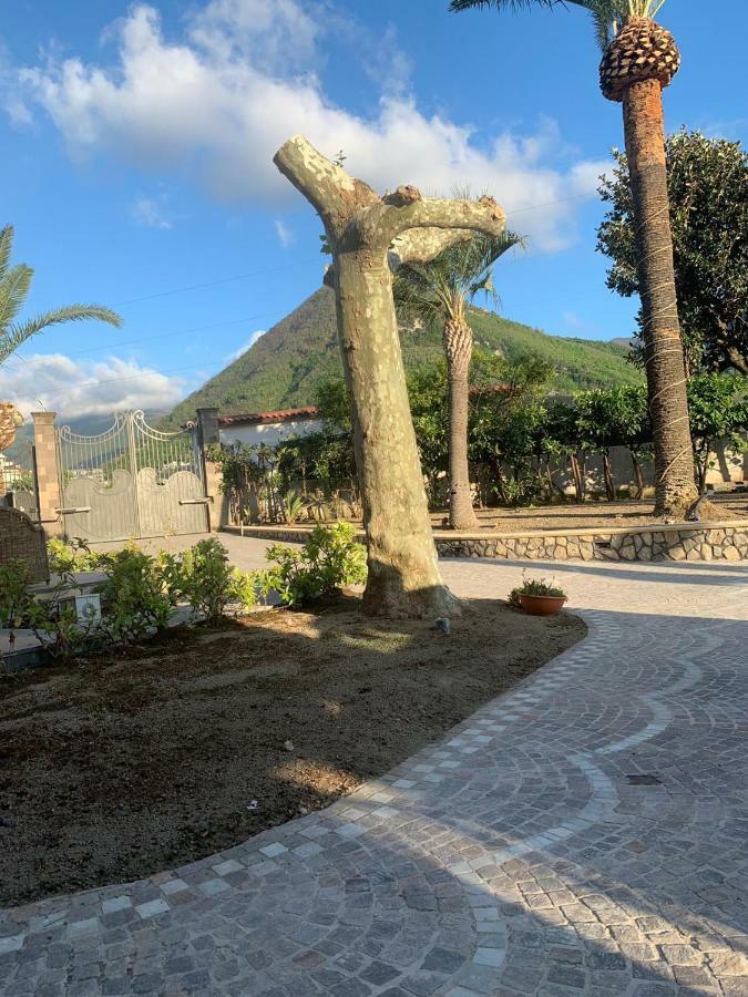 Villa Lucia Terrazza Panoramica Castellammare di Stabia Kültér fotó